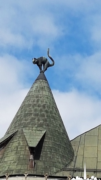 le chat noir
